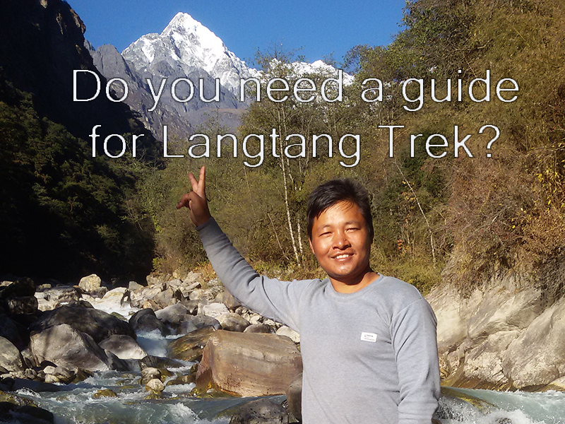 Do You Need a Guide for Langtang Trek