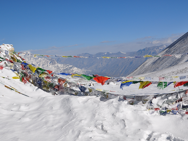 Annapurna Circuit Trek Latest