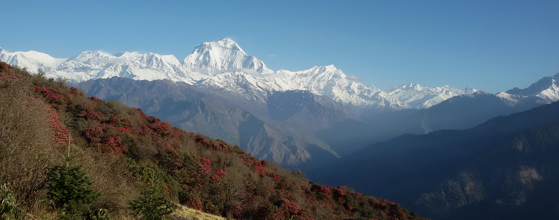 Khoprak Ridge Trek 6 Days