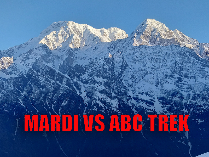 Mardi Himal Trek vs Annapurna Base Camp Trek: Which Trek should you choose?