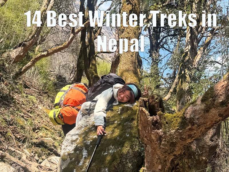 14 Best Winter Treks in Nepal