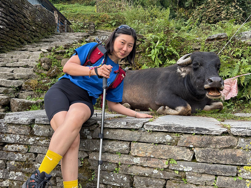 How do I choose between a private trek and a group trek in Nepal?